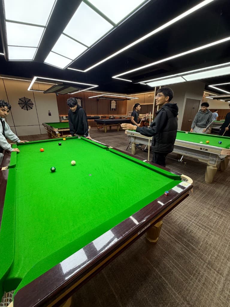 Playing billiards with friends
