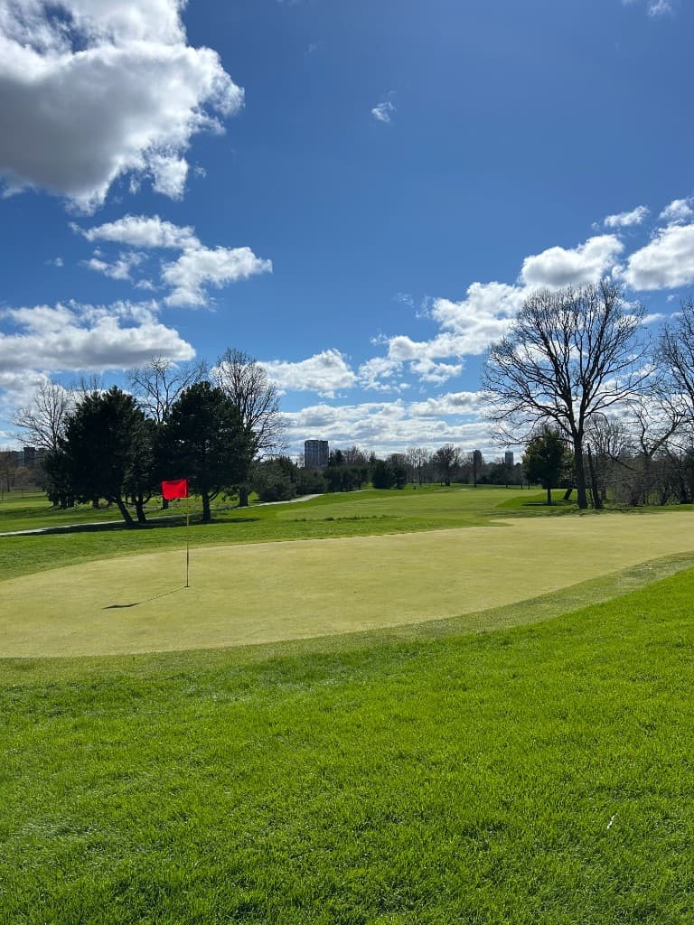 Sunny day on the golf course